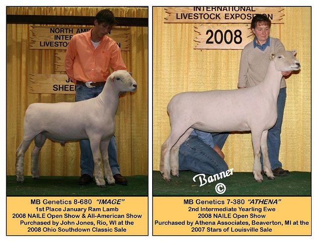 2008 NAILE Image & Athena